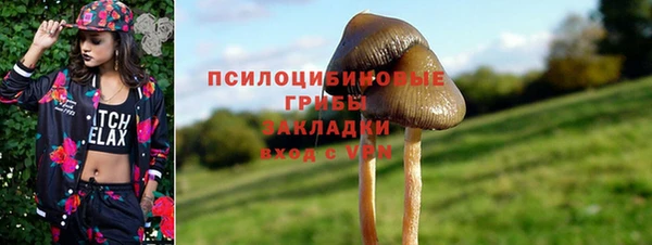 прущая мука Алзамай