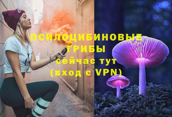 прущая мука Алзамай