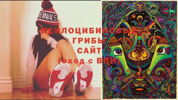 Альфа ПВП Алексин