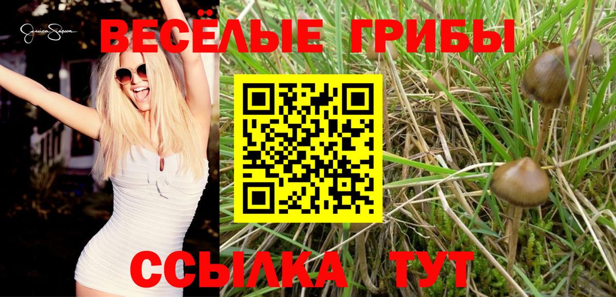 Галлюциногенные грибы мицелий Нижнеудинск