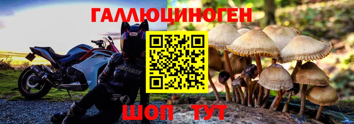 Нижнеудинск  Псилоцибиновые грибы Cubensis  Вход с VPN  Галлюциногенные грибы MAGIC MUSHROOMS 